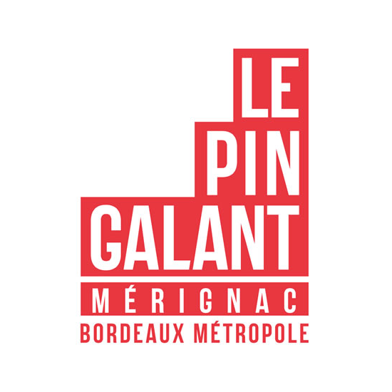 Pin Galant